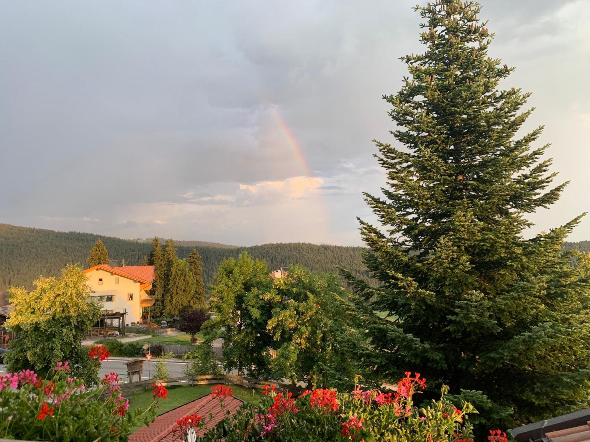 Albero Verde Verano Εξωτερικό φωτογραφία