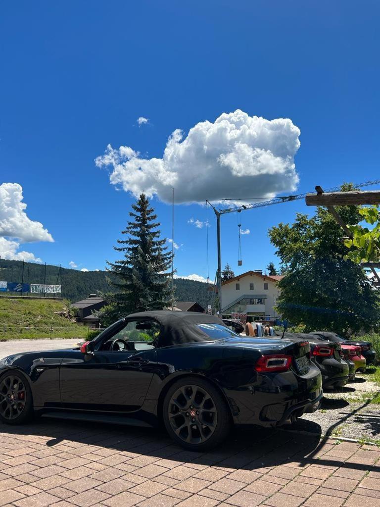 Albero Verde Verano Εξωτερικό φωτογραφία