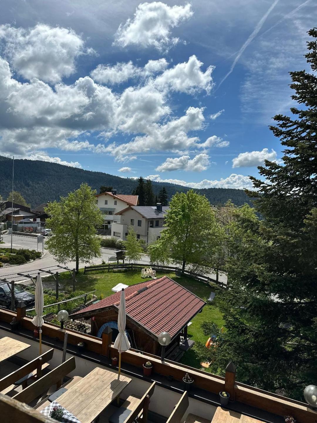 Albero Verde Verano Εξωτερικό φωτογραφία